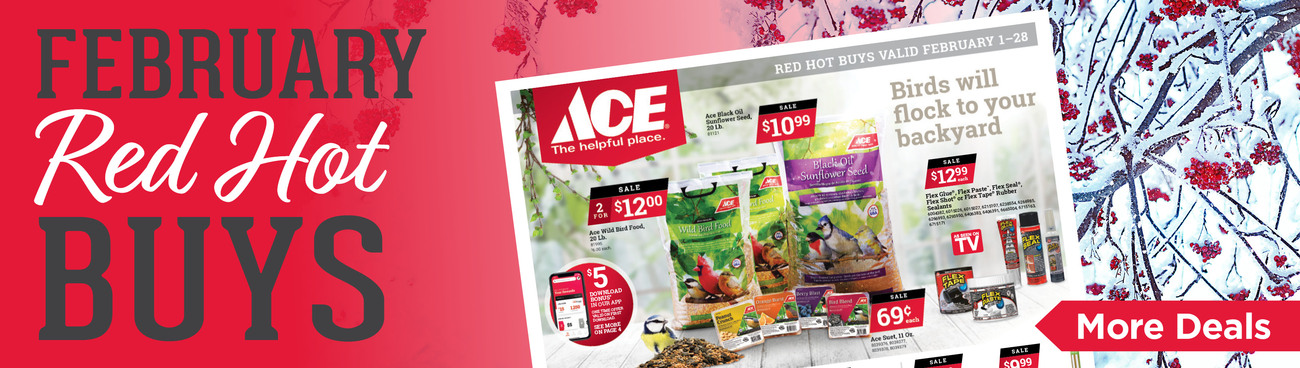 February Red Hot Buys - Great Lakes Ace Hardware Store Header