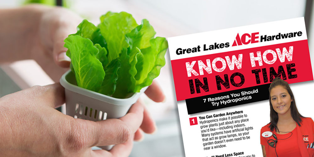 Benefits of Hydroponics - Great Lakes Ace Hardware Store