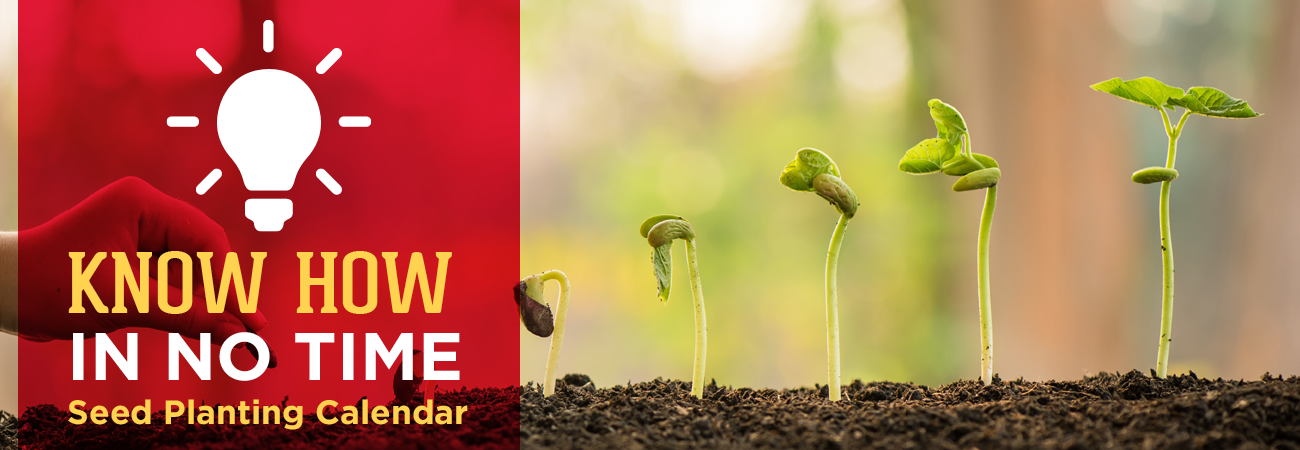 Seed Planting Calendar - Great Lakes Ace Hardware Store Header