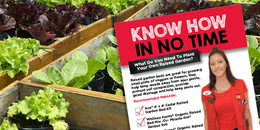 Planting Your Own Raised Garden - Great Lakes Ace Hardware Store
