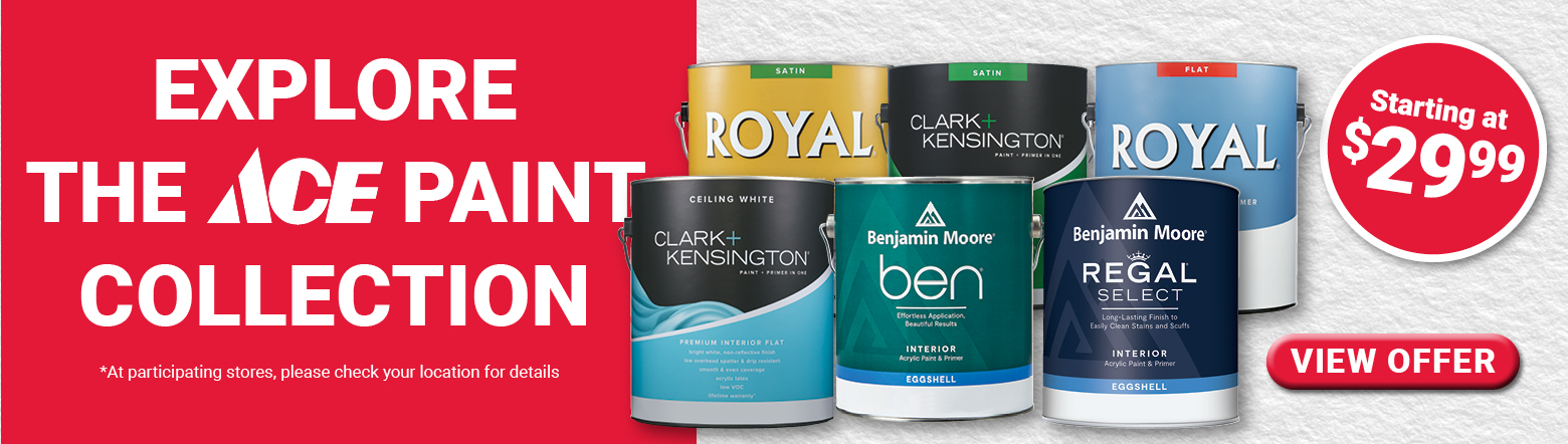 Ace Collection Feb 2026 Header