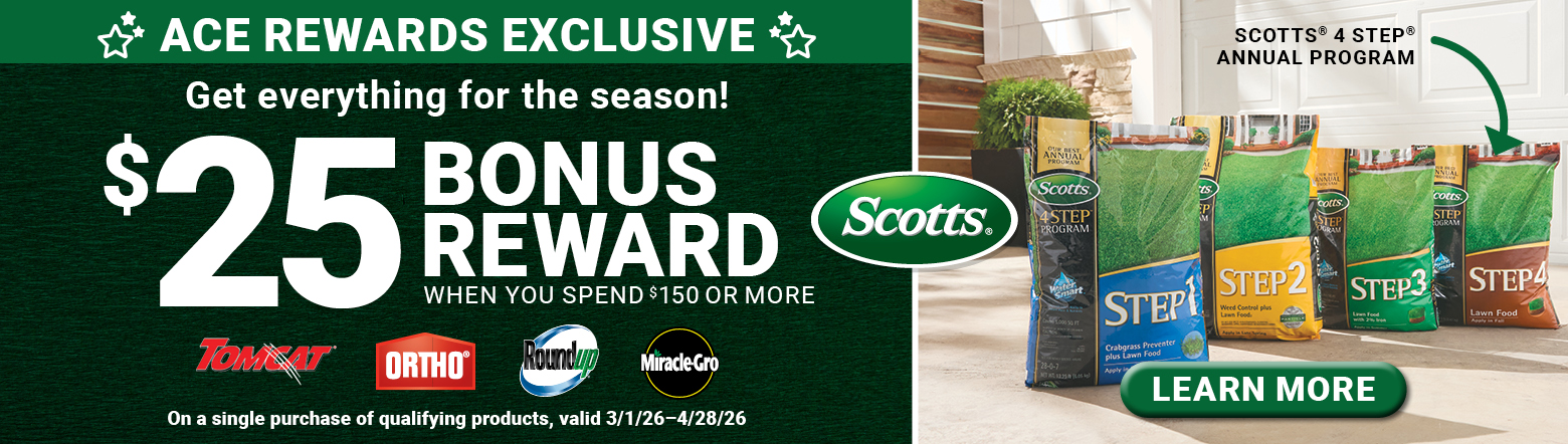 25 Bonus Reward-March26 Header