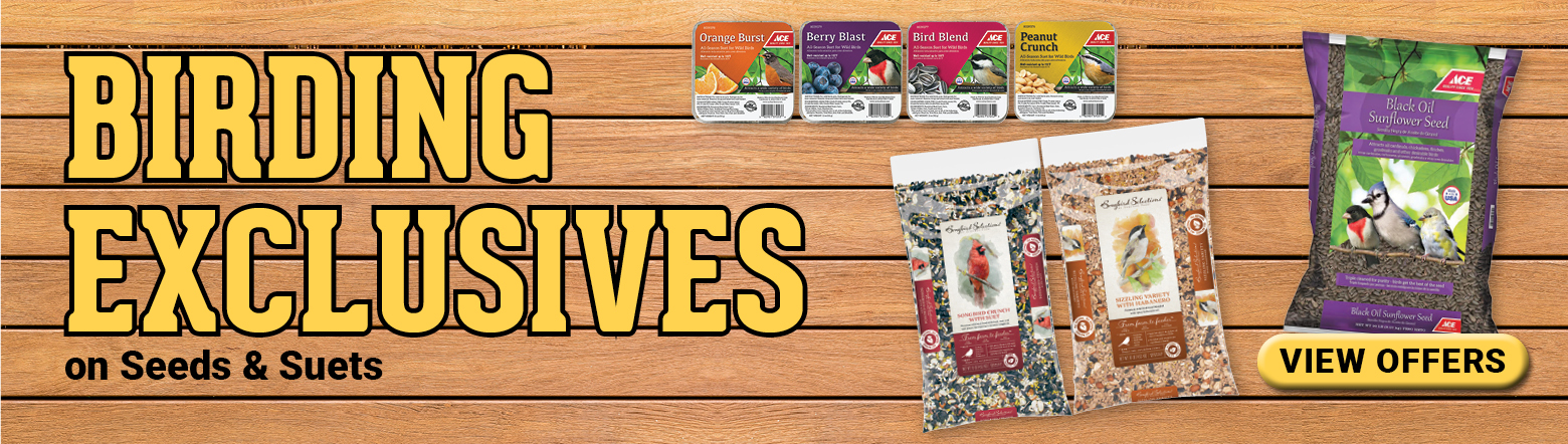 Birding Exclusives-March26 Header
