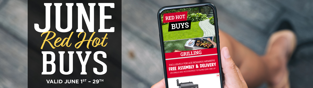 June Red Hot Buys - Great Lakes Ace Hardware Store Header