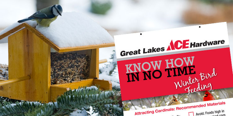 Winter Bird Feeding - Great Lakes Ace Hardware Store