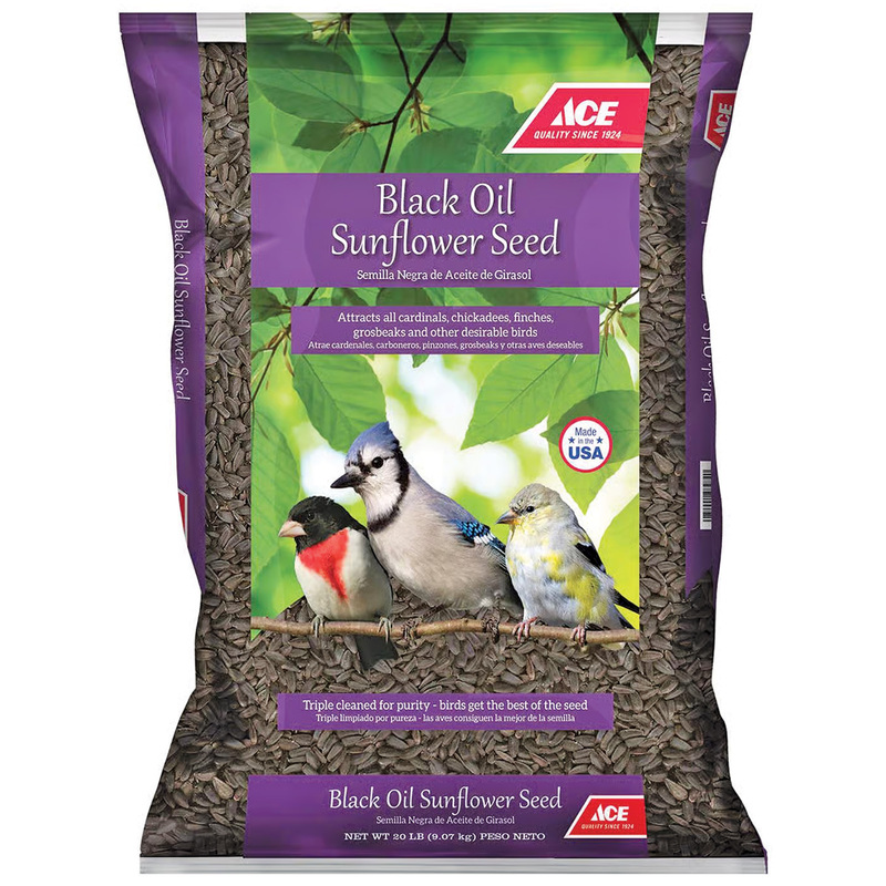 20 Lb. Ace® Black Oil Sunflower Seed