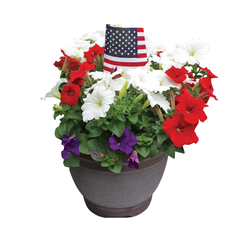 10" Red White & Blue Planter