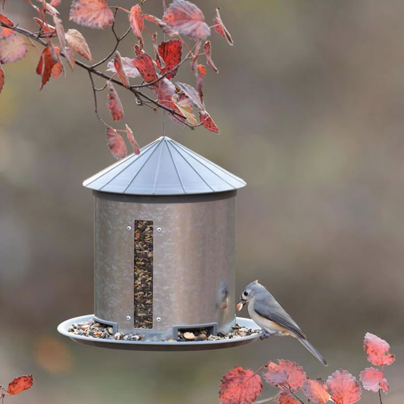 More Birds Plastic & Steel Silo Hopper Bird Feeder