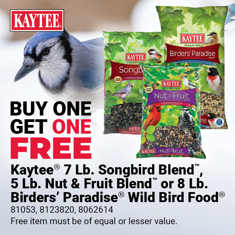 Kaytee® Bird Seed
