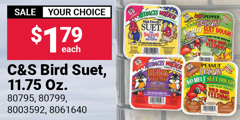 Your Choice C&S Bird Suet