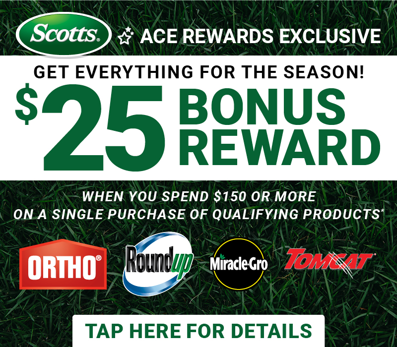 Ace Rewards Exclusive $25 Bonus Reward