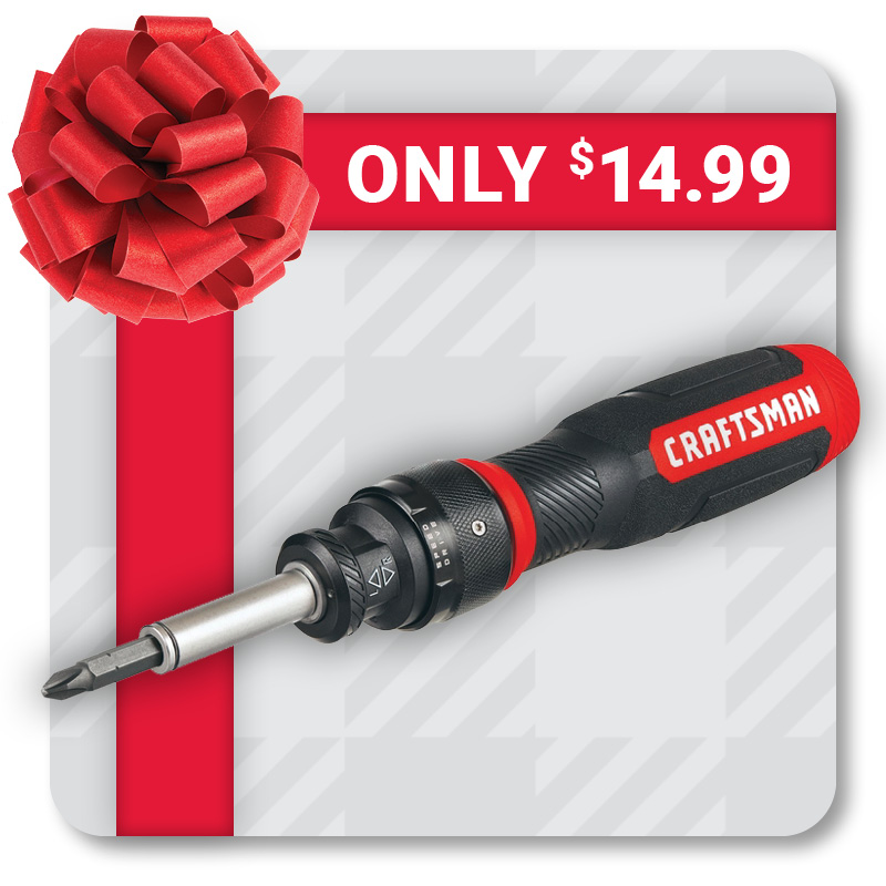 15 Pc. CRAFTSMAN® Ratcheting Screwdriver Set