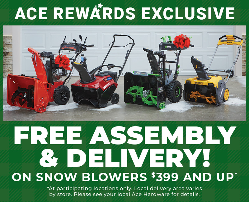 Free Assembly & Delivery on Snow Blowers - Holiday
