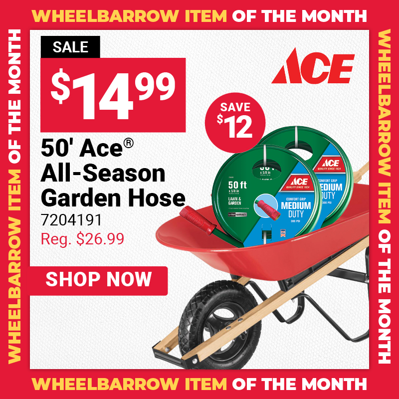 50' Ace® All-Season Garden Hose