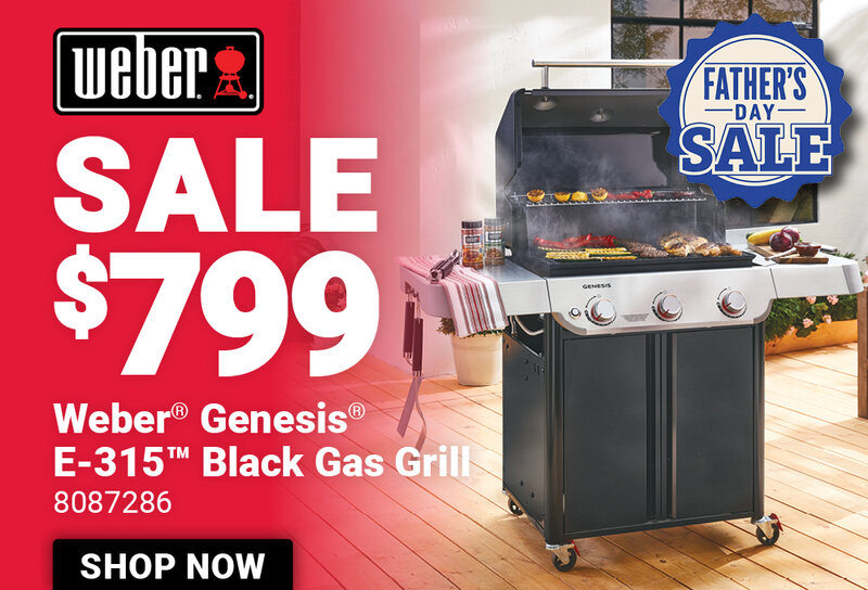Weber® Genesis® E-315™ Gas Grill