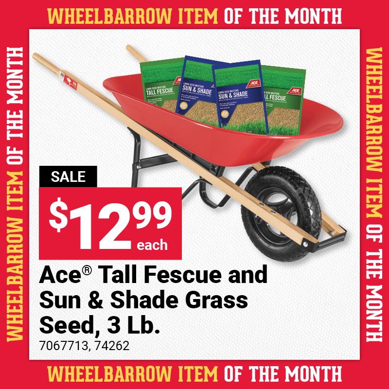 Ace® Tall Fescue and Sun & Shade Grass Seed, 3 Lb.