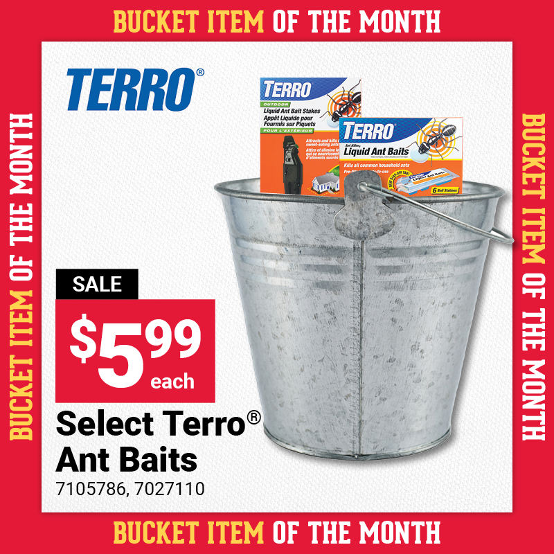 Select Terro® Ant Baits