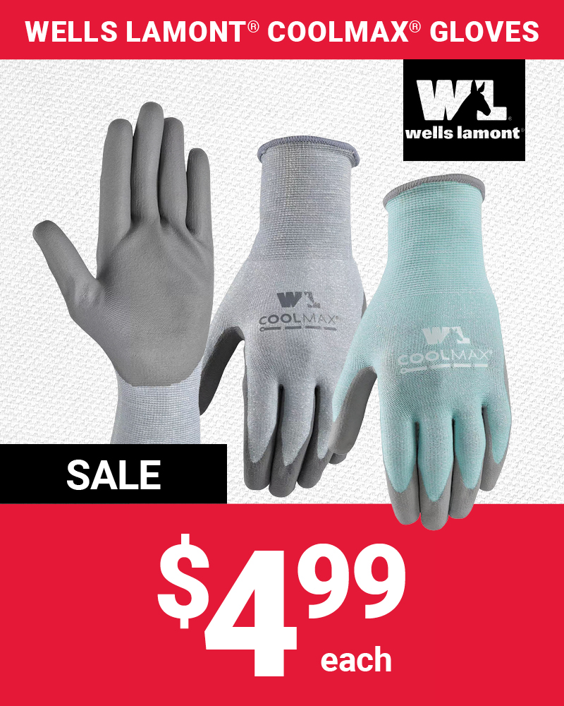 Featured Item of the Month