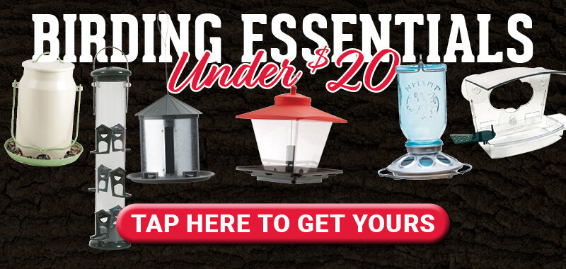 Birding Essentials Under $20