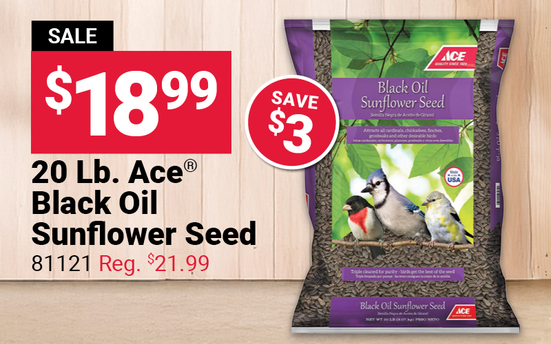 20 Lb. Ace® Black Oil Sunflower Seed-81121