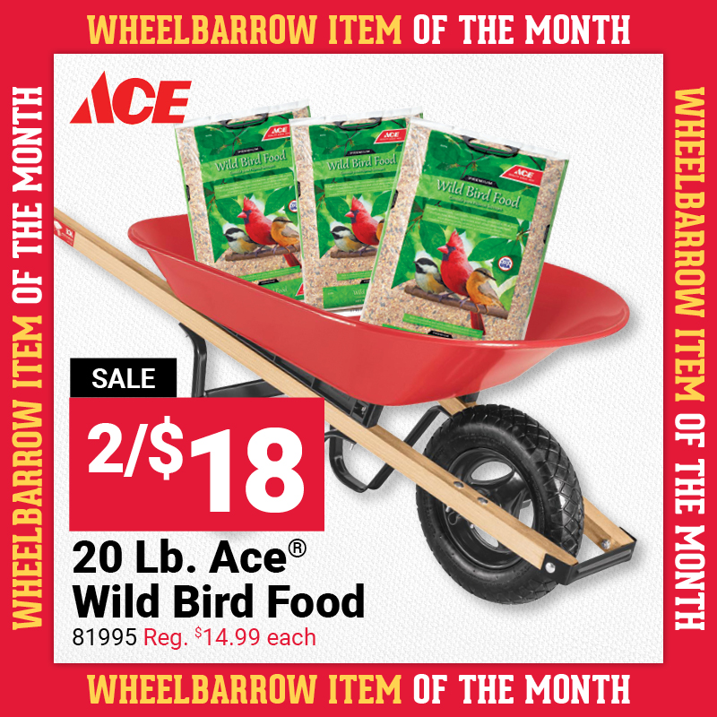 20 Lb. Ace® Wild Bird Food-81995