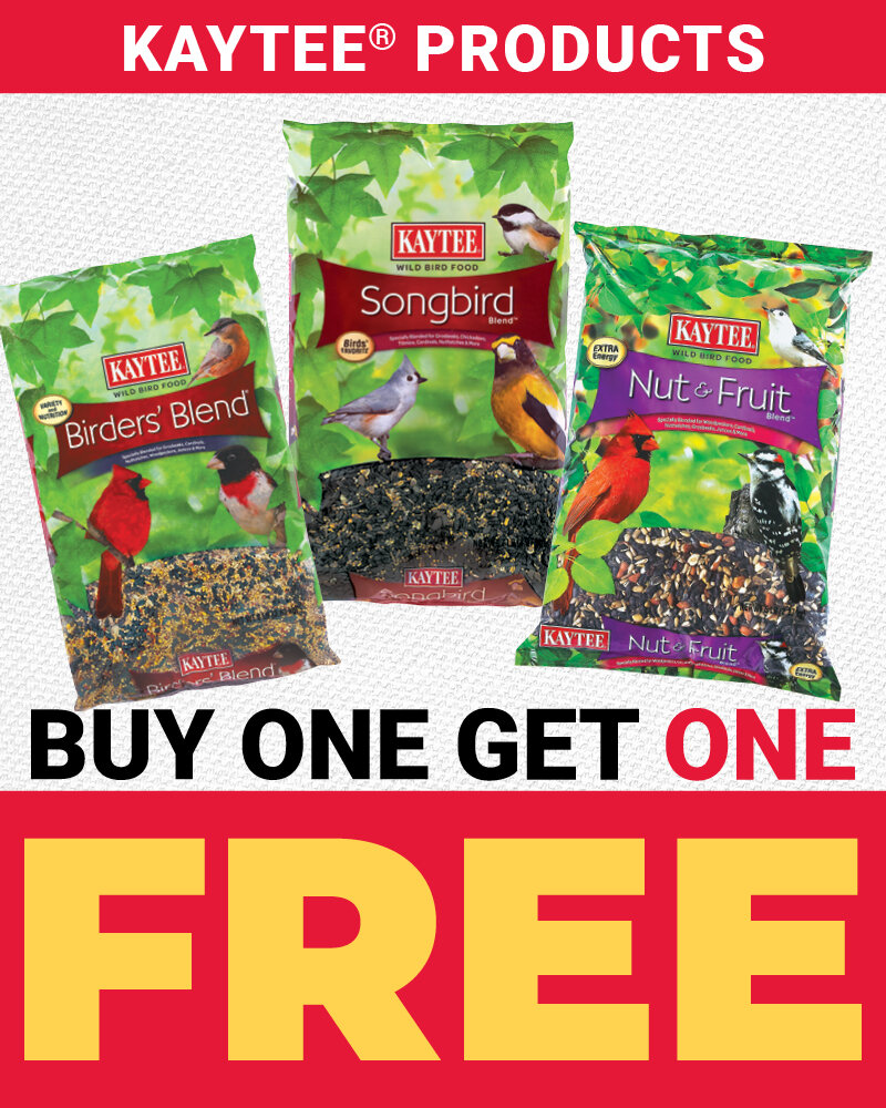 January Wheelbarrow Item of the Month