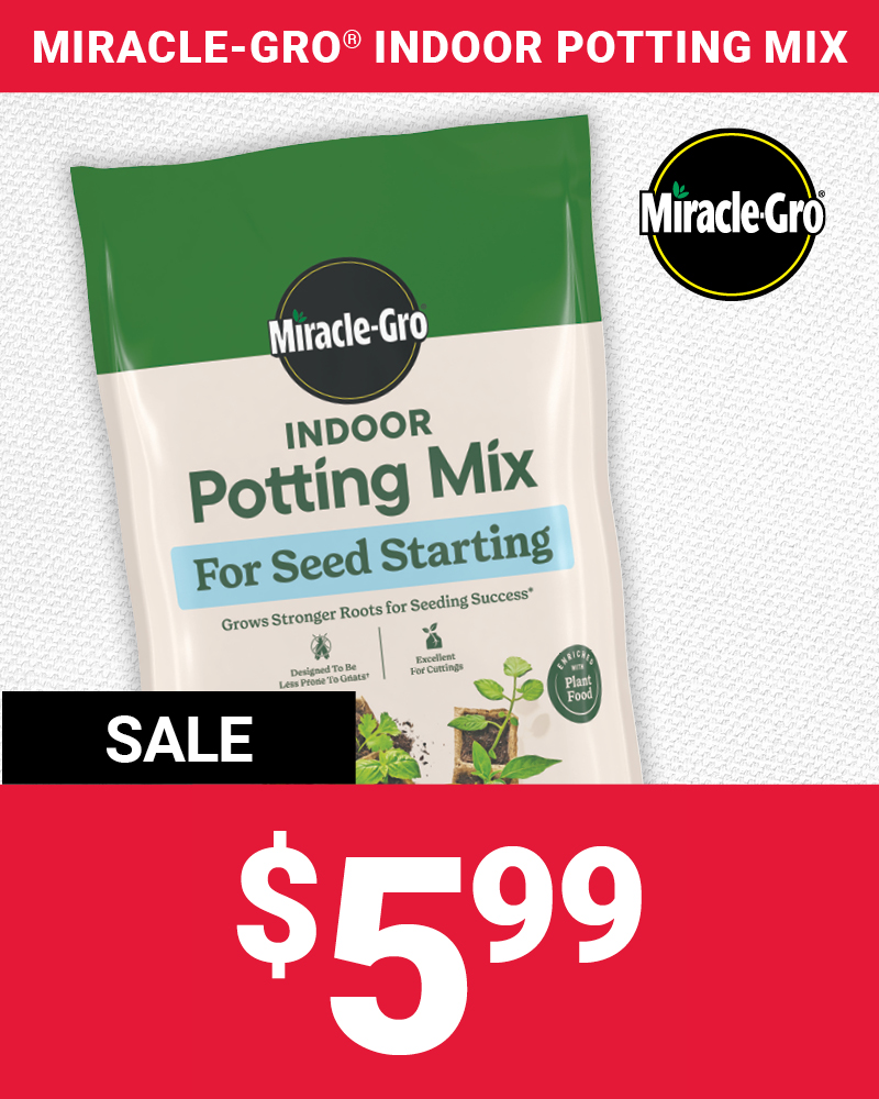 8 Qt. Miracle-Gro® Seed Starting Potting Mix