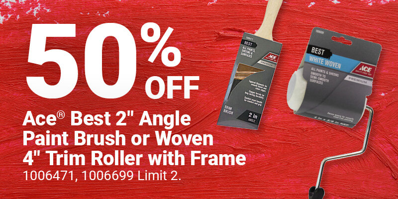 Ace® Angle Paint Brush or Woven 4" Trim Roller