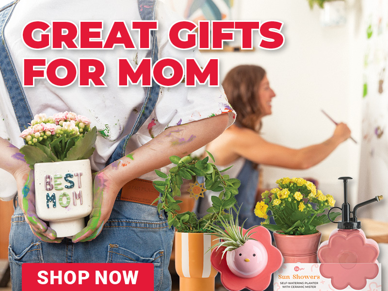 Great Gifts for Mom!