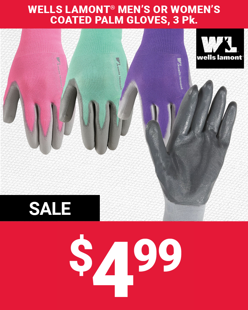 3 Pk. Wells Lamont® Work Gloves