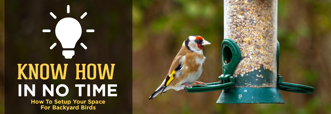 Setup Your Backyard For Birds - Great Lakes Ace Hardware Store Header
