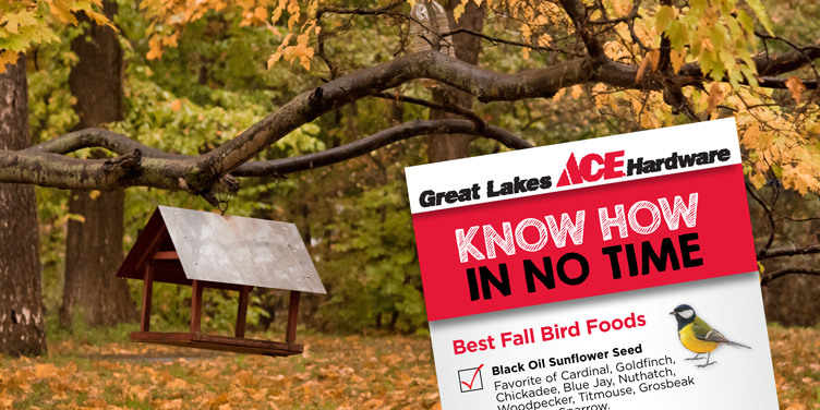 The Best Bird Foods for Fall - Great Lakes Ace Hardware Store