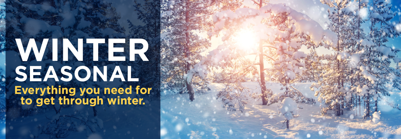 Winter Seasonal - Great Lakes Ace Hardware Store Header